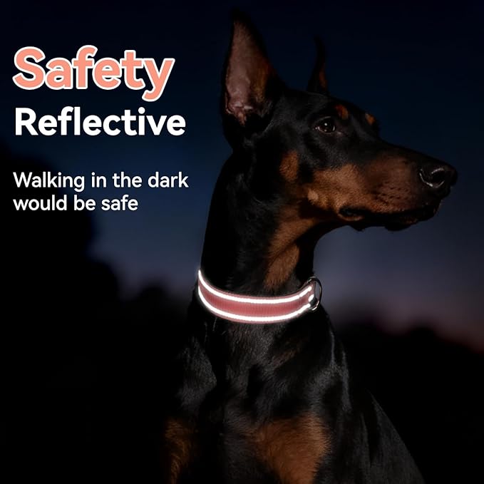 Reflective Dog Collar for Small Dogs, Soft Neoprene Padded with Quick Release Buckle, Adjustable Nylon Pet Collar for Walking,Neon Pink,S