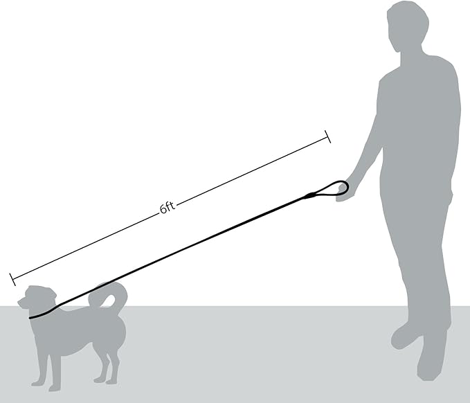 Friends Forever Extremely Durable Dog Rope Leash, Premium Quality Training Slip Lead, Reflective, Thick Heavy Duty, Sturdy, No Pull, Comfortable For The Strong Large Medium Small Pets 6 feet, Blue