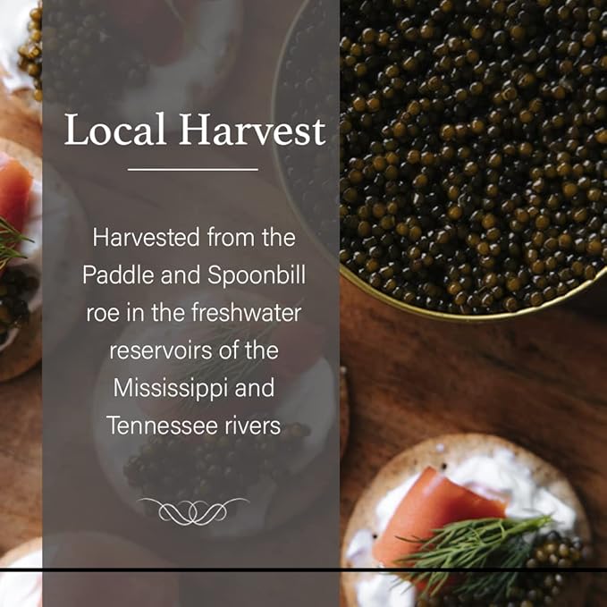 OVERNIGHT SHIPPING - OLMA American Paddlefish Black Caviar - Medium Grey Pearls, Smooth Flavor - 17.6 oz / 500 g