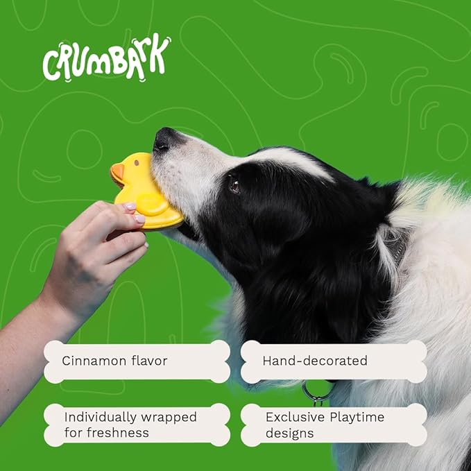 Playtime Biscuits | Hand-Decorated Dog Cookies – 8 Pack in Gift Box | Extra Large Dog Treats 62g Cookie, Vegan Snacks for Dogs, Gifts for Dogs