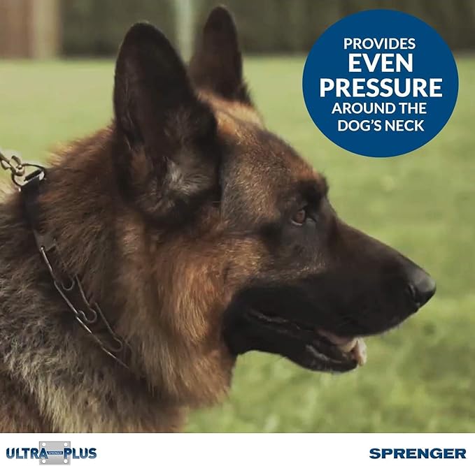 Herm Sprenger Pet Supply Imports Chrome Plated Training Collar with Quick Release Snap for Dogs, Medium, 3.0mm, 21-Inch