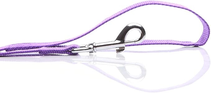 Nylon Dog Leash 12 Feet Long, Walking Training Dog Leashes for Medium Large Dogs(1" X 12 ft, Purple)