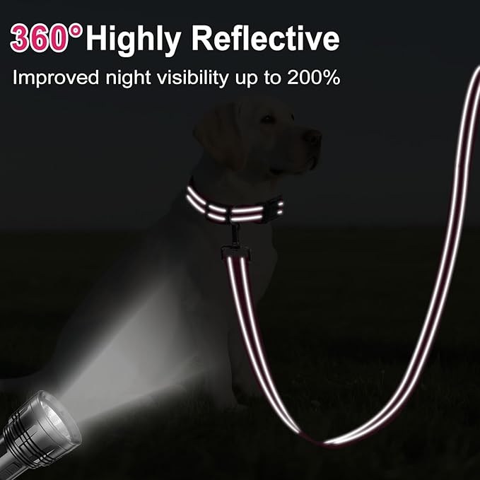 Reflective Dog Leash 4ft Soft Padded Handle Nylon Lead for Small & Medium Dogs, Durable Walking Training Leash for Night Safety (Hotpink,3/4Inch Wide)