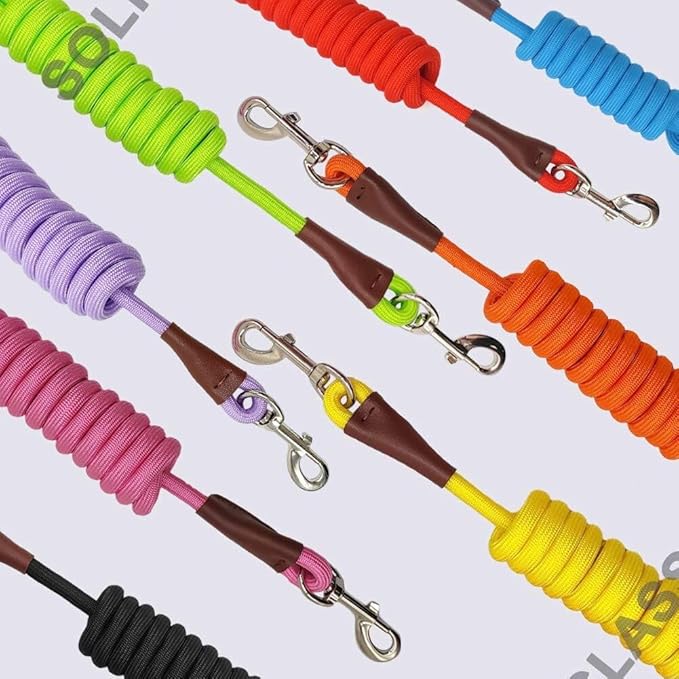 MayPaw 6/8 /10 FT Dog Leash, Classic Solid Colors, Strong Nylon Rope Dog Leash Reinforced with Leather Tailor Connection Heavy Duty Silver Clasp (Purple, 10ft*1/2")