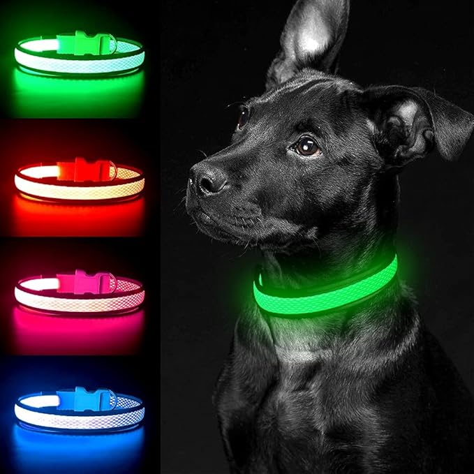 YFbrite Light up Dog Collar, USB Rechargeable LED Puppy Collar Super Bright Adjustable Glowing Dog Lights for Night Walking (Green, Large)