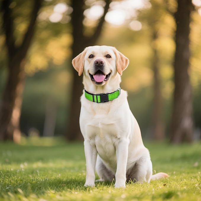 Reflective Dog Collar for Extra Large Dogs, Adjustable Collar with Soft Neoprene Padded, Durable Buckle for Daily Walking,Green,XL