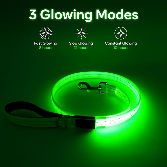 LED Dog Leash, 4 Ft Light Up Dog Leash USB Rechargeable Waterproof, Nylon Reflective Leashes with Padded Handle, Safety Glow in The Dark Pet Lights for Large Medium Small Pet(Green)