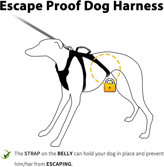 Huntboo Escape Proof Dog Harness, Secure Dog Harness No Escape, Fully Reflective Harness with Handle,Breathable,Durable, Adjustable Vest for Small Dogs Walking, Training,and Running Gear (Sea Blue,S)