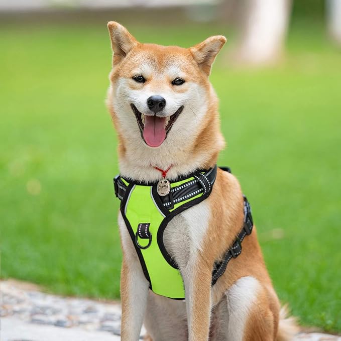PoyPet No Pull Dog Harness, Reflective Comfortable Vest Harness with Front & Back 2 Leash Attachments and Easy Control Handle Adjustable Soft Padded Pet Vest for Small to Large Dogs (Green,XL)