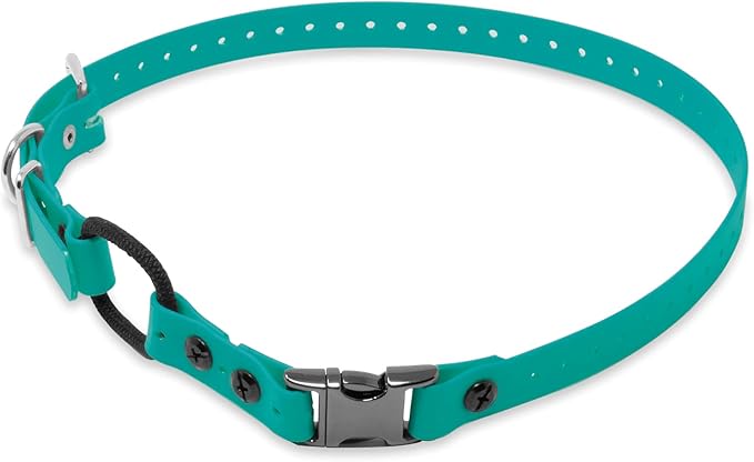 Educator 3/4″ Bungee Dog Collar – Biothane Waterproof & Odorproof, Metal Buckle & D-Ring, Comfort Bungee Loop, Trim-to-Fit – ONLY Fits ME-300, ET-300, ET-400, EZ-900, PE-900, PG-300 – Teal