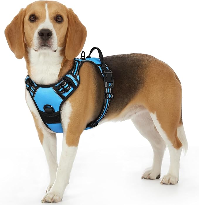 Eagloo Dog Harness Small Sized Dog, No Pull Service Vest with Reflective Strips and Control Handle, Adjustable and Comfortable for Walking, No Choke Pet Harness with 2 Metal Rings, Sky Blue, S