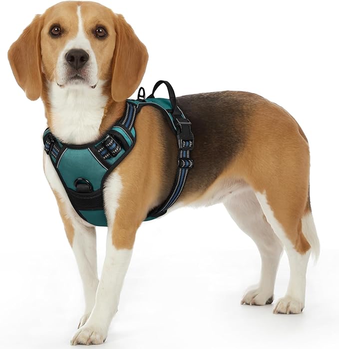 Eagloo Dog Harness Small Sized Dog, No Pull Service Vest with Reflective Strips and Control Handle, Adjustable and Comfortable for Walking, No Choke Pet Harness with 2 Metal Rings, Dark Green, S