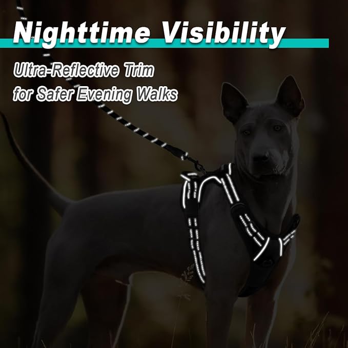 BARKBAY Dog Harness No Pull Mesh for Large Dogs - Adjustable, Reflective, Comfortable, No Choke, Heavy-Duty - Perfect for Outdoor Training, Walking, and Hiking - Strong & Durable - L & Black Mesh