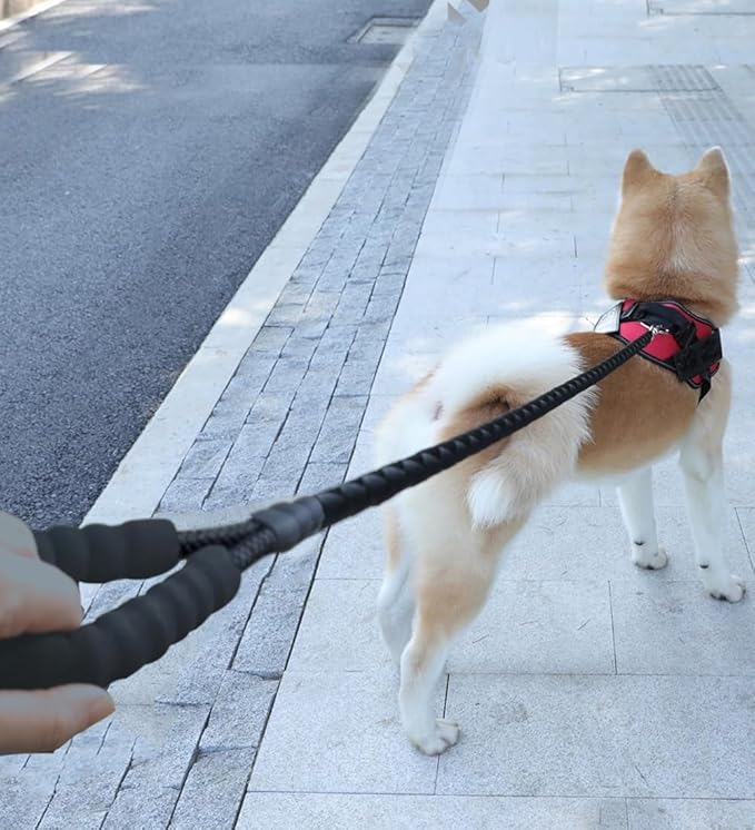 10FT Strong Dog Leash, Black Rope Leash Highly Reflective Threads with Soft Padded Handle for Small Medium Large Dogs (1/2")