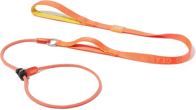 Howgo Dog Slip Lead Dog Leash, Training Lead, No-Pull Slip Leash and Collar, Heavy Duty & Durable Nylon, Padded Handle, for All Breeds (Orange, 5FT)