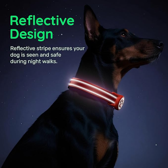 Airtag Dog Collar, Reflective Ultra-Durable Nylon Padded with QR Buckle & IP68 Waterproof Air Tag Holder Compatible for Apple AirTag, Comfortable for Small Medium Large Dogs (Red, XS)