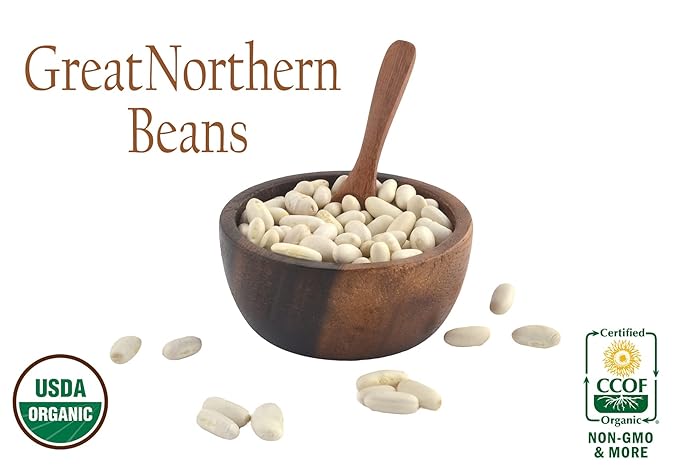 Organic Great Northern Beans,Raw, non GMO, Vegan, Bulk (10LB)