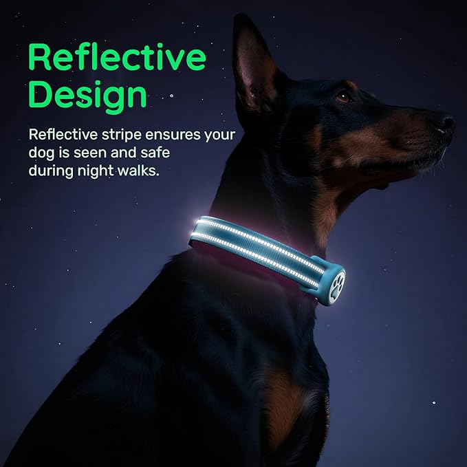 Airtag Dog Collar, Reflective Ultra-Durable Nylon Padded with QR Code Buckle & IP68 Waterproof Air Tag Holder Compatible for Apple AirTag, Comfortable for Small Medium Large Dogs (Blue, XS)