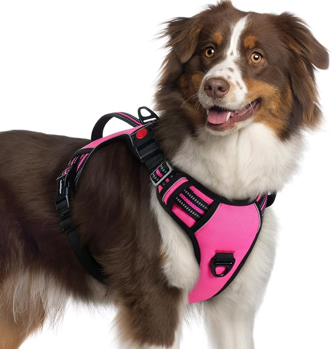 rabbitgoo Dog Harness for Large Dogs, No Pull Pet Harness with Soft Padded Handle, Adjustable Reflective Vest with 3 Buckles, Easy Walking Harness with 2 Leash Clips, Pink, XL