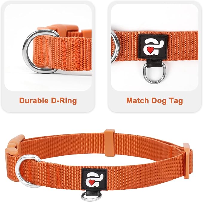 azuza 3 Pack Fall Dog Collars Comfortable and Adjustable Nylon Dog Collars for Small Dogs, S (11-16inch)， Ginger Yellow, Rust Orange and Latte Brown