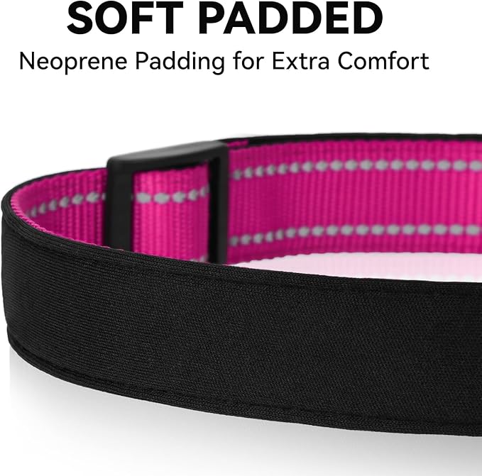 Reflective Dog Collar for Mediunm Dogs, Adjustable Collar with Soft Neoprene Padded, Durable Buckle for Daily Walking,Hotpink,M, 3/4" Width