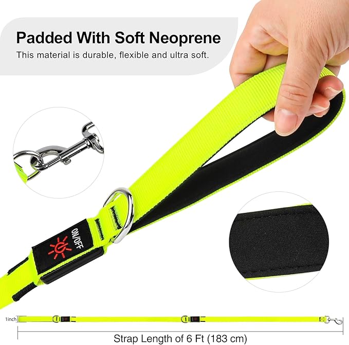 Colaseeme Light Up Dog Leash, LED Pet Leashes USB Rechargeable, Glow Safety Dogs Lights at Night (6FT,Green)