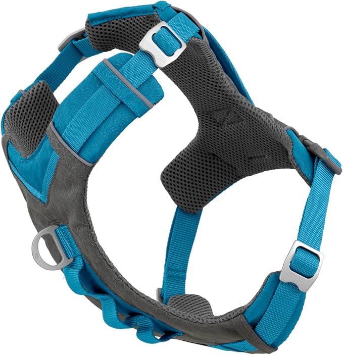 Kurgo Journey Air Dog Harness - Secure Fit for Active Dogs - Padded Chest - Lightweight Ripstop Fabric - Breathable Mesh - Reflective Trim - Back Assist Handle - Blue - Large