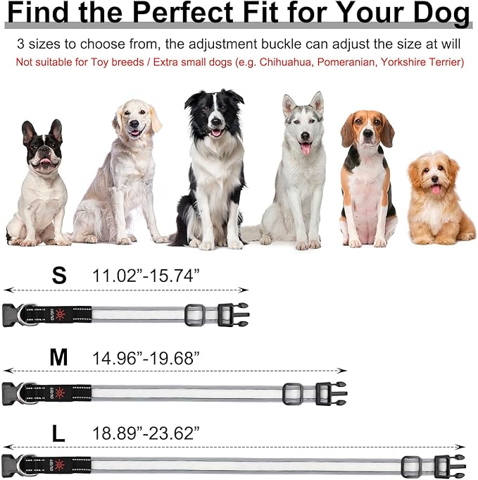 Light Up Dog Collar, Multicolor LED Dog Collar with 7 Modes, USB-C Rechargeable Reflective Glow Collar, Waterproof & Adjustable Design with Battery Indicator for Safe Night Walks(Large)