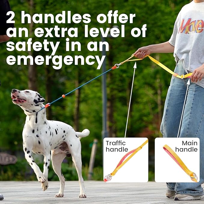 Slip Lead Dog Leash with Double Handles | Reflective Dog Training Leash with 360° Swivel Anti-Tangle | Heavy-Duty Leash and Collar for Large Medium and Small Dogs No-Pull Walking (Mint Green, 5.5FT)