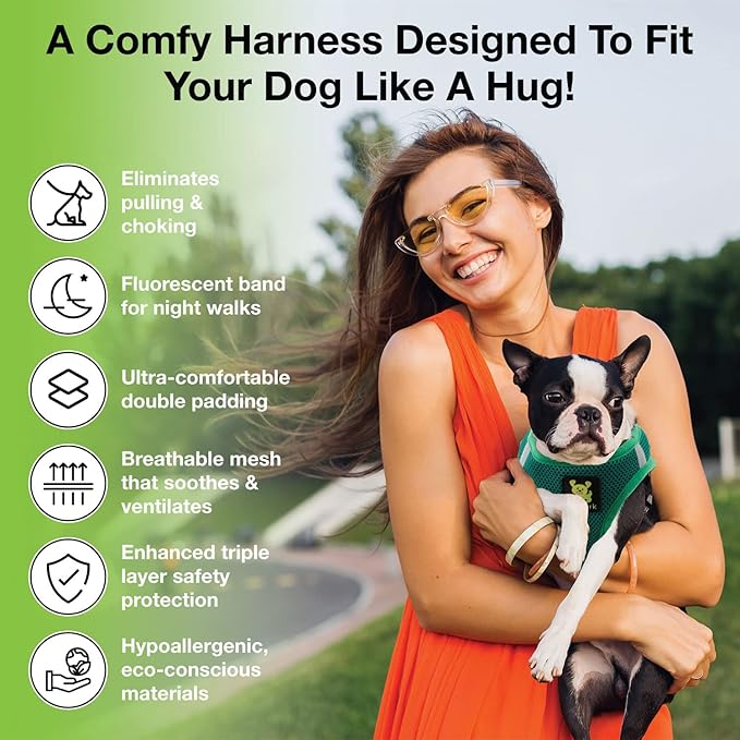 EcoBark Step in Dog Harness - Eco-Friendly Teacup Dog Harnesses for XXS, XS, and Small Breed Dogs - Reflective and Adjustable Mini Body Halter Vest -Tiny Soft Mesh Toy Breed Harness (Forest Green, XS)