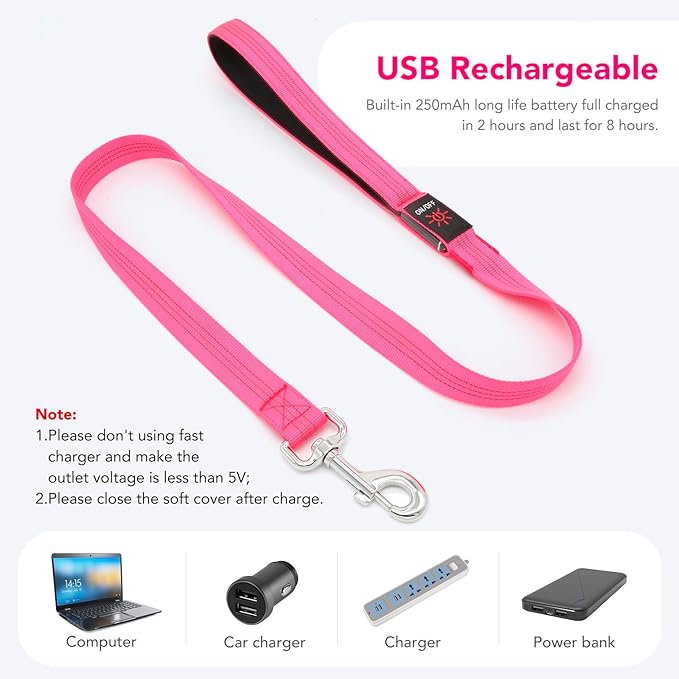 Colaseeme Light Up Dog Leash, LED Pet Leashes USB Rechargeable, Glow Safety Dogs Lights at Night (4FT,Pink)