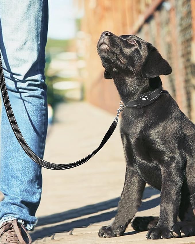 Reflective Dog Leash 4ft Soft Padded Handle Nylon Lead for Small & Medium Dogs, Durable Walking Training Leash for Night Safety (Black,3/4Inch Wide)