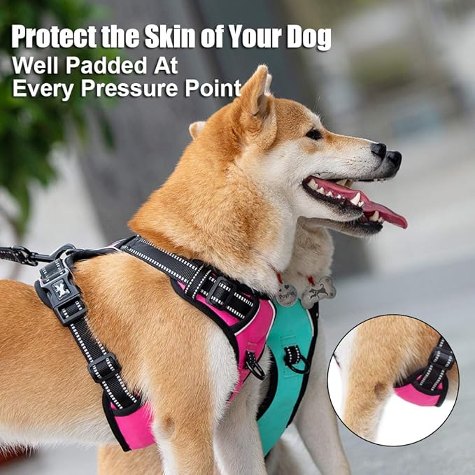 PoyPet No Pull Dog Harness, Reflective Comfortable Vest Harness with Front & Back 2 Leash Attachments and Easy Control Handle Adjustable Soft Padded Pet Vest for Small to Large Dogs (Mint Blue,L)