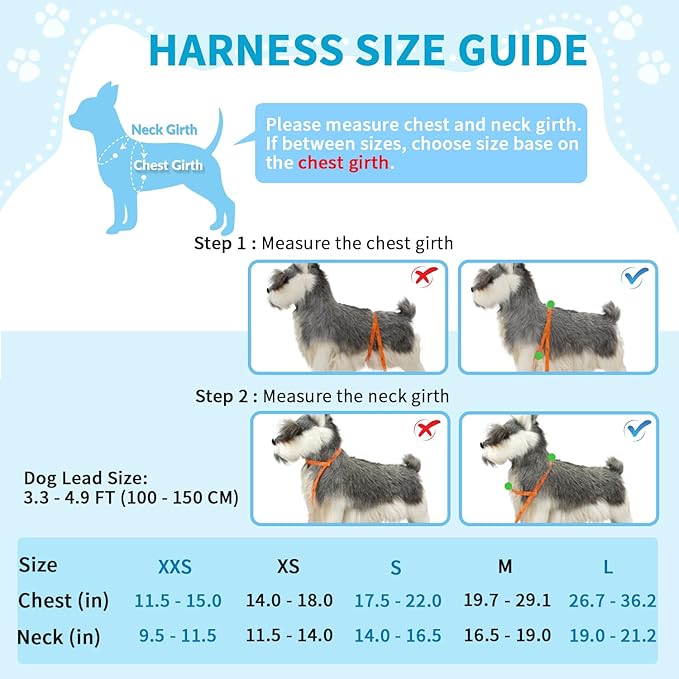 Lukovee No Pull Dog Harness and Leash Set, Soft Padded Small Dog Harness, Neck & Chest Adjustable Reflective Vest Puppy Harness with 4ft Lightweight Anti-Twist Dog Leash for Small Dogs (Orange, XS)