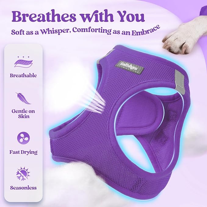 rabbitgoo Dog Harness Small Sized and Leash Set, Step in Soft Light Puppy Vest, Breathable Mesh Pet Harness, Reflective for Safe Outdoor Walking, Purple XXS