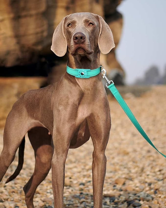 Reflective Dog Leash 6ft Soft Padded Handle Nylon Lead for Medium & Large Dogs, Durable Walking Training Leash for Night Safety (Turquoise,1Inch Wide)