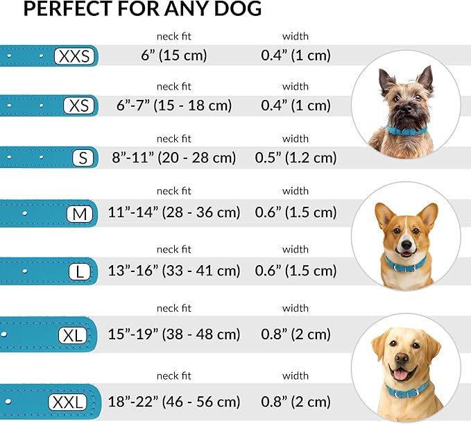 CollarDirect Rolled Leather Dog Collar, Soft Padded Round Puppy Collar, Handmade Genuine Leather Collar Dog Small Large Cat Collars 13 Colors (6-7 Inch, Light Blue Textured)