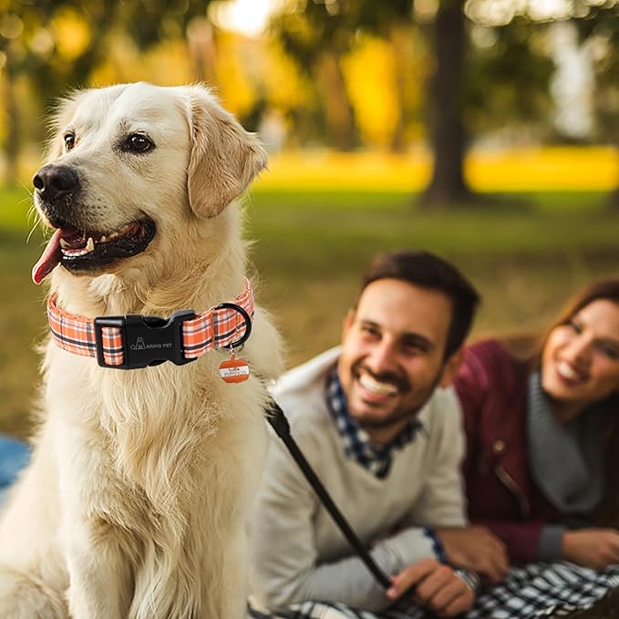 ARING PET Puppy Fall Dog Collar, Autumn Orange Black White Plaid Pet Collars for Small Medium Large Girl Boy Dogs Halloween-S Size