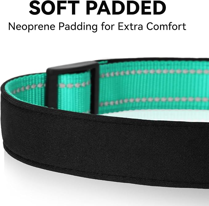 Soft Reflective Dog Collar for Extra Small Dogs, Lightweight Adjustable Puppy Collar with Neoprene Padding, Gentle Nylon for Chihuahua Yorkie,Teal,XS