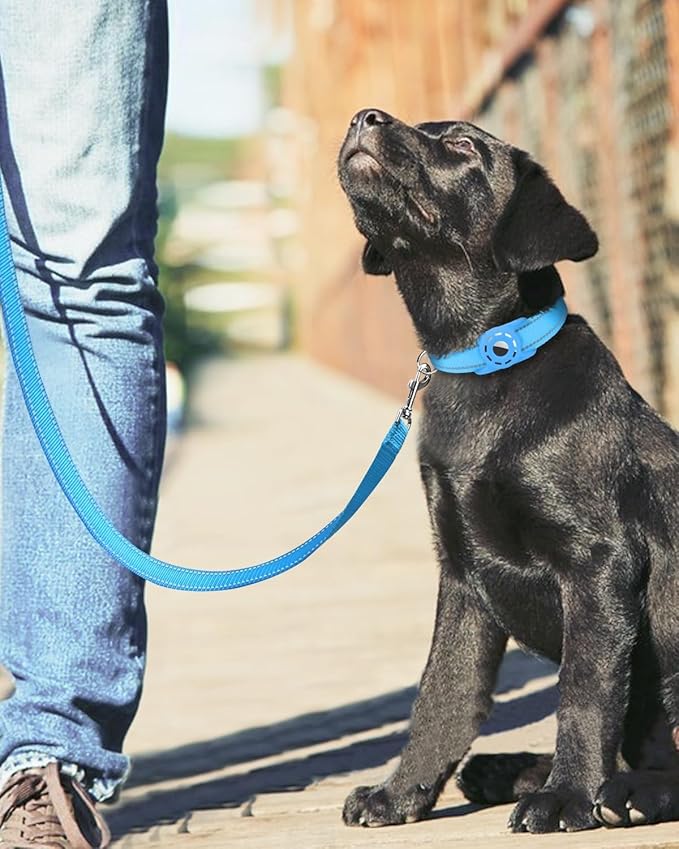 Reflective Dog Leash 4ft Soft Padded Handle Nylon Lead for Small & Medium Dogs, Durable Walking Training Leash for Night Safety (SkyBlue,3/4Inch Wide)