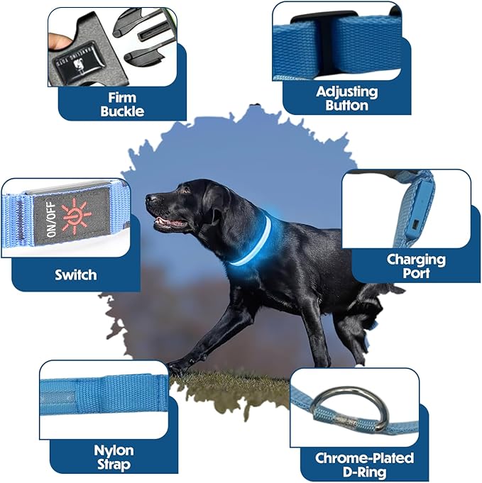 Light Up Dog Collar ??Reflective, Adjustable & Rechargeable Electronic Glow Pet Collars ??Bright, Comfortable, High Visibility LED Dog Collar for Night Safety, Outdoor Walk, Flashing Fun, Blue, Medium