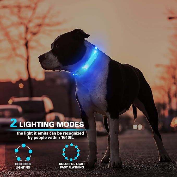 2 Pack LED Light for Dog Leash Harness, USB Rechargeable Light Up Collar with Nylon Stickers, Glow Light Easy to Attach to Collar Leash and Harness, Safety LED Light Up Band for Dogs at Night Walking