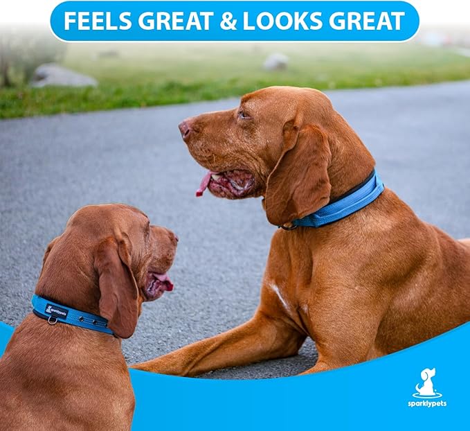 SparklyPets Heavy Duty Dog Collar with Handle for Medium and Large Dogs ??Professional Collar with Reflective Stitches, Soft Handle & Nickel-Plated Buckle (Medium (14,5"~18,5"), Blue)