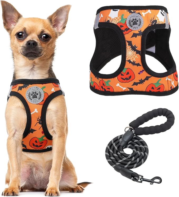 BEAUTYZOO Step in Dog Harness and Leash Set,Floral Pattern Reflective Dog Harness No Pull No Choke Puppy Harness for Medium Dogs Cats,Soft Padded Mesh Vest Harnesses for Girl and Boy Pets, Halloween M