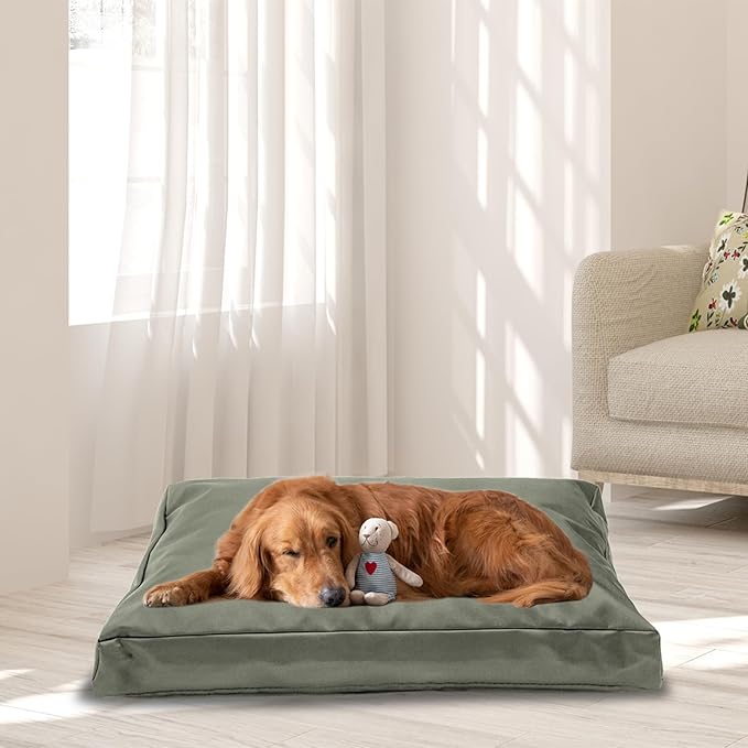 Replacement Dog Bed Cover,Heavy Duty Waterproof Removable 44" L x 32" W x 4" H Reusable Dog Bed Covers with Zipper.Grey Green,Cover Only