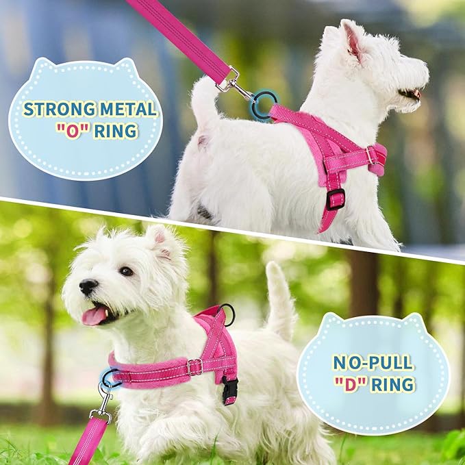 SlowTon No Pull Small Dog Harness and Leash Set, Puppy Soft Vest Harness Neck & Chest Adjustable, Reflective Lightweight Harness & Anti-Twist Pet Lead Combo for Small Medium Dogs(FU,L)