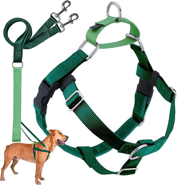2 Hounds Design Freedom No Pull Dog Harness, Adjustable Harness and Leash Set, Easy Walking & Comfortable Control, Fits Small, Medium & Large Dogs, Solid Colors, Made in USA, 1" MD, Kelly Green