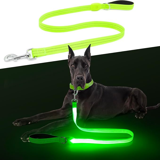 LED Dog Leash, Light Up Dog Leash 4 Ft Fully Illuminated USB Rechargeable Waterproof, Nylon Reflective Leashes with Padded Handle for Dogs Night Walking, Safety Glow in The Dark for Large Medium Pets