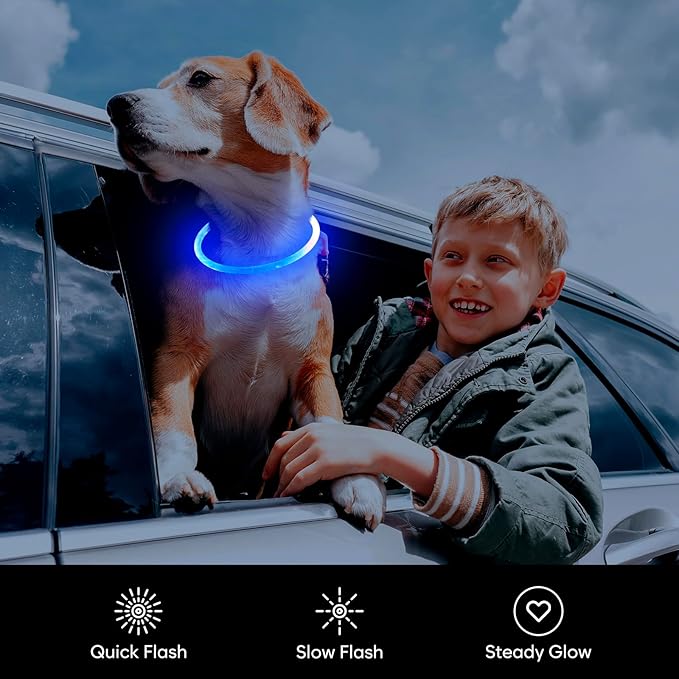 Flashseen LED Dog Collar, USB Rechargeable Glowing Lighted Up Collar, Cuttable Water-Resistant TPU Safety Collar Lights for Small Medium Large Dogs