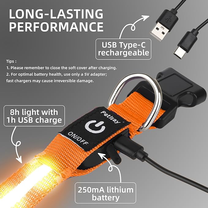 Super Bright LED Dog Collar - Fully Waterproof & Adjustable Glow Collar - USB-C Rechargeable for Night Walking, Safety - Flashing Lighted Collar for Dogs(Orange,M)